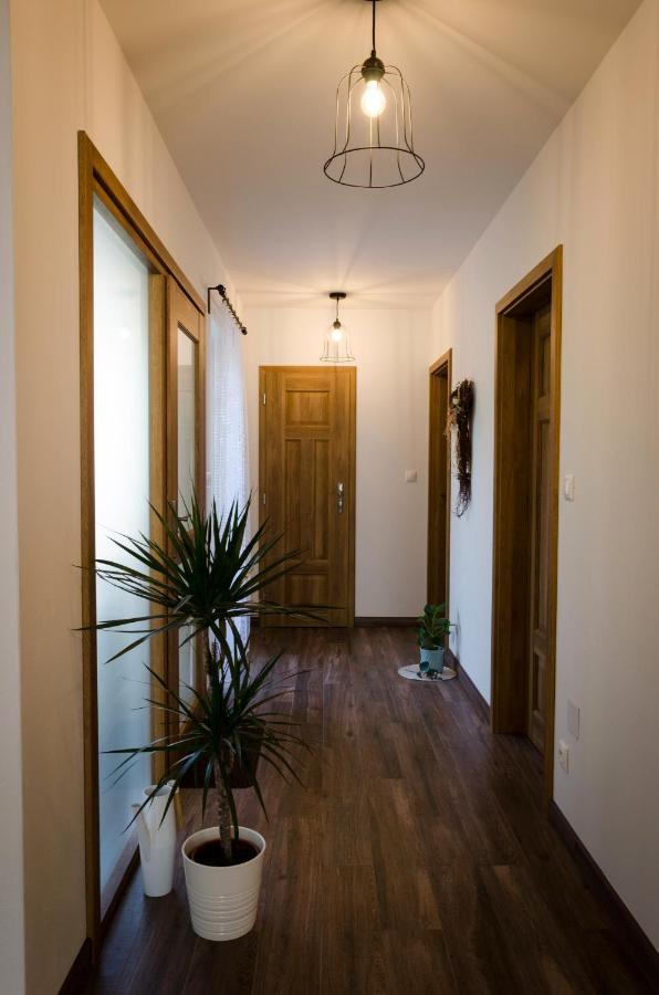 Apartmany U Kotacku Veverske Kninice Exteriör bild